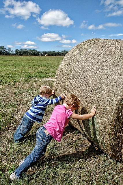 2 young children attempt to roll a very large bale of hay in a field on a sunny day